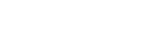 Logo_nexofox_weiss